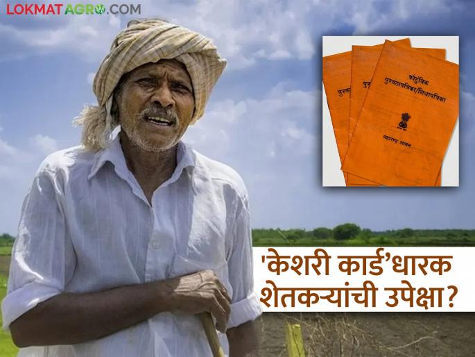 latest news Keshari Ration Card : Neglect of farmers holding 'Keshari Card'; Fund of Rs 170 vanishes into thin air? Read in detail | Keshari Ration Card: 'केशरी कार्ड' धारक शेतकऱ्यांची उपेक्षा; १७० रुपयांचा निधी हवेतच गायब? वाचा सविस्तर latest news Keshari Ration Card : Neglect of farmers holding 'Keshari Card'; Fund of Rs 170 vanishes into thin air? Read in detail | Keshari Ration Card: 'केशरी कार्ड' धारक शेतकऱ्यांची उपेक्षा; १७० रुपयांचा निधी हवेतच गायब? वाचा सविस्तर