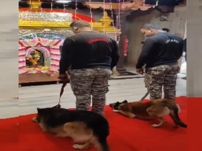 Ratnagiri village deity Bhairibu was saluted by police dogs | रत्नागिरीचे ग्रामदैवत भैरीबुवाला पोलिसांच्या श्वानांनी दिली सलामी Ratnagiri village deity Bhairibu was saluted by police dogs | रत्नागिरीचे ग्रामदैवत भैरीबुवाला पोलिसांच्या श्वानांनी दिली सलामी