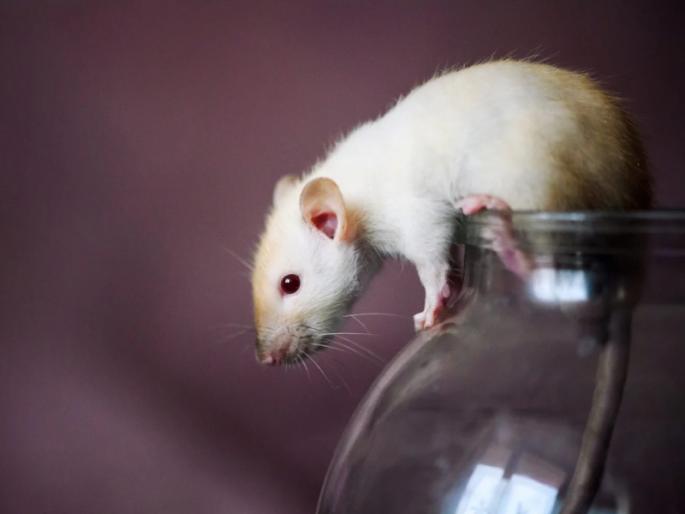 If you want to check how much patience you have, read this story! | आपल्यात किती संयम आहे हे तपासून पहायचे असेल तर 'ही' गोष्ट वाचा! If you want to check how much patience you have, read this story! | आपल्यात किती संयम आहे हे तपासून पहायचे असेल तर 'ही' गोष्ट वाचा!