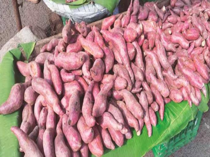 Heavy arrival of yam at market yard during Navratri Festival This year the price is 20 to 30 rupees per kilo while the income is doubled | नवरात्रोत्सवात मार्केटयार्ड येथे रताळाची आवक मोठी; आवक दुप्पट तर यंदा किलोला 20 ते 30 रुपये भाव