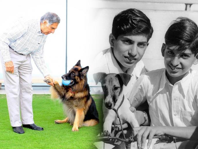 Ratan Tata’s pet project, massive Rs 1650000000 animal hospital in Mumbai, to open next month | रतन टाटा यांची ८६व्या वर्षी 'स्वप्नपूर्ती', मुंबईत उभारलं १६५ कोटीचं 'पेट' हॉस्पिटल 