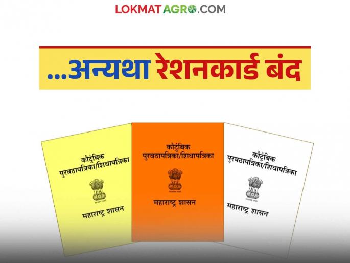 It is mandatory to provide this proof, otherwise the ration card will be closed; State government orders | हा पुरावा देणे बंधनकारक नाहीतर रेशनकार्ड होणार बंद; राज्य शासनाचे आदेश It is mandatory to provide this proof, otherwise the ration card will be closed; State government orders | हा पुरावा देणे बंधनकारक नाहीतर रेशनकार्ड होणार बंद; राज्य शासनाचे आदेश
