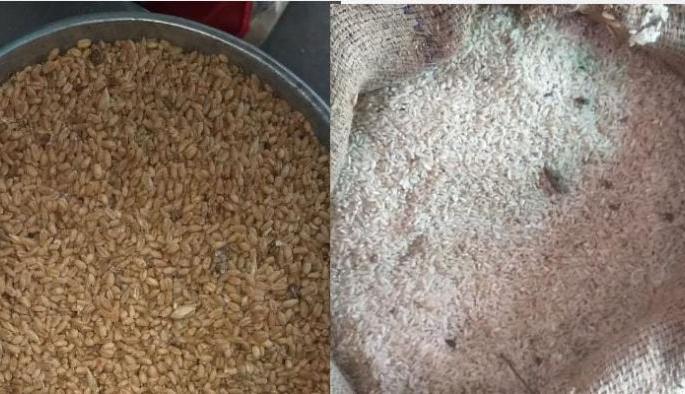 Government grain is black marketed | सरकारी धान्याची होतेय काळाबाजारी : रेशन दुकानात येते निकृष्ट धान्य Government grain is black marketed | सरकारी धान्याची होतेय काळाबाजारी : रेशन दुकानात येते निकृष्ट धान्य