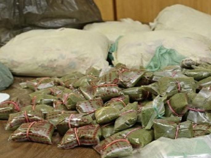 Raid on a lodge in Ratnagiri, one arrested with drugs | रत्नागिरीत लाॅजवर छापा, अंमली पदार्थांसह एकजण ताब्यात Raid on a lodge in Ratnagiri, one arrested with drugs | रत्नागिरीत लाॅजवर छापा, अंमली पदार्थांसह एकजण ताब्यात