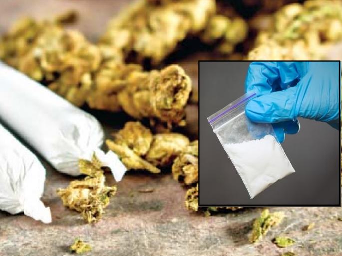 Ratnagiri police take strict action to destroy drug racket, proposal to provincial authorities to deport nine persons | अमली पदार्थांचे रॅकेट नष्ट करण्यासाठी रत्नागिरी पोलिसांची कडक कारवाई, नऊजणांच्या हद्दपारीचे प्रांताधिकाऱ्यांकडे प्रस्ताव Ratnagiri police take strict action to destroy drug racket, proposal to provincial authorities to deport nine persons | अमली पदार्थांचे रॅकेट नष्ट करण्यासाठी रत्नागिरी पोलिसांची कडक कारवाई, नऊजणांच्या हद्दपारीचे प्रांताधिकाऱ्यांकडे प्रस्ताव