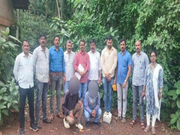 Brown heroin seized in Ratnagiri, two arrested | रत्नागिरीत ब्राउन हेरॉईन जप्त, दोघांना अटक; स्थानिक गुन्हे अन्वेषण शाखेची कारवाई Brown heroin seized in Ratnagiri, two arrested | रत्नागिरीत ब्राउन हेरॉईन जप्त, दोघांना अटक; स्थानिक गुन्हे अन्वेषण शाखेची कारवाई