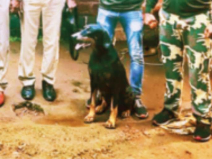 Rusubai goes to the forest, is found by 'Virat'; The minor girl had left the house because her father was angry | रुसूबाई जंगलात गेली, ‘विराट’ने शोधून आणली; वडील रागावल्याने अल्पवयीन मुलीने सोडले होते घर Rusubai goes to the forest, is found by 'Virat'; The minor girl had left the house because her father was angry | रुसूबाई जंगलात गेली, ‘विराट’ने शोधून आणली; वडील रागावल्याने अल्पवयीन मुलीने सोडले होते घर