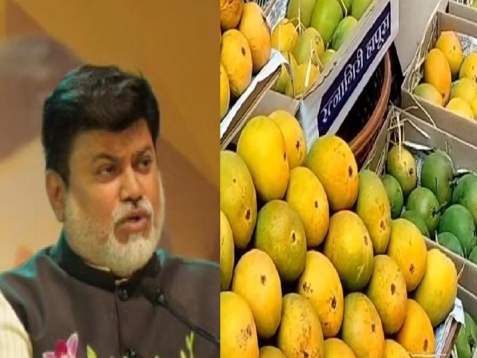 Send a detailed report on the facts of mango damage says Uday Samant | आंबा नुकसानाच्या वस्तुस्थितीचा विस्तृत अहवाल पाठवा : उदय सामंत Send a detailed report on the facts of mango damage says Uday Samant | आंबा नुकसानाच्या वस्तुस्थितीचा विस्तृत अहवाल पाठवा : उदय सामंत