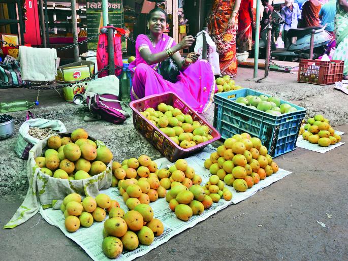 Ratnagiri: Ratham of the mathematical calculations, reconciliation, ... | रत्नागिरी : गणिते विस्कटून हापूसचा रामराम, ताळमेळ जमेना... Ratnagiri: Ratham of the mathematical calculations, reconciliation, ... | रत्नागिरी : गणिते विस्कटून हापूसचा रामराम, ताळमेळ जमेना...