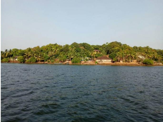 Voters number 71 on the island lying on the bay, started by Gram Panchayat elections | खाडीत वसलेल्या बेटावर मतदार संख्या ७१, ग्रामपंचायतीला लागले निवडणुकीचे वारे