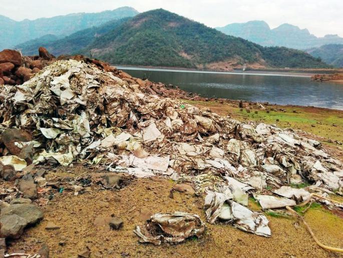 Ratnagiri: cement bags in Khoraninko dam in Lanja | रत्नागिरी : लांजातील खोरनिनको धरणात सिमेंट पिशव्यांचा खच Ratnagiri: cement bags in Khoraninko dam in Lanja | रत्नागिरी : लांजातील खोरनिनको धरणात सिमेंट पिशव्यांचा खच