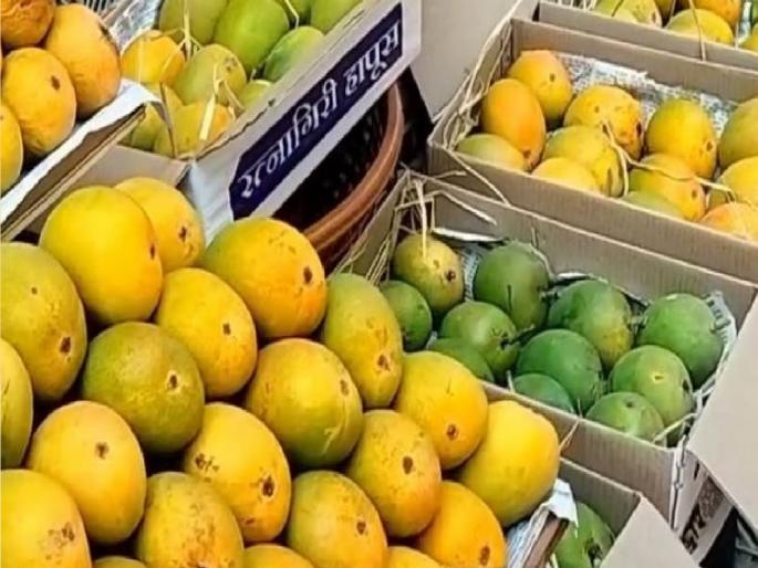 Sellers in Mumbai say, don't send mangoes now Konkan growers worried | मुंबईतील विक्रेते म्हणतात, आता आंबा पाठवू नका; कोकणातील बागायतदार चिंताग्रस्त Sellers in Mumbai say, don't send mangoes now Konkan growers worried | मुंबईतील विक्रेते म्हणतात, आता आंबा पाठवू नका; कोकणातील बागायतदार चिंताग्रस्त