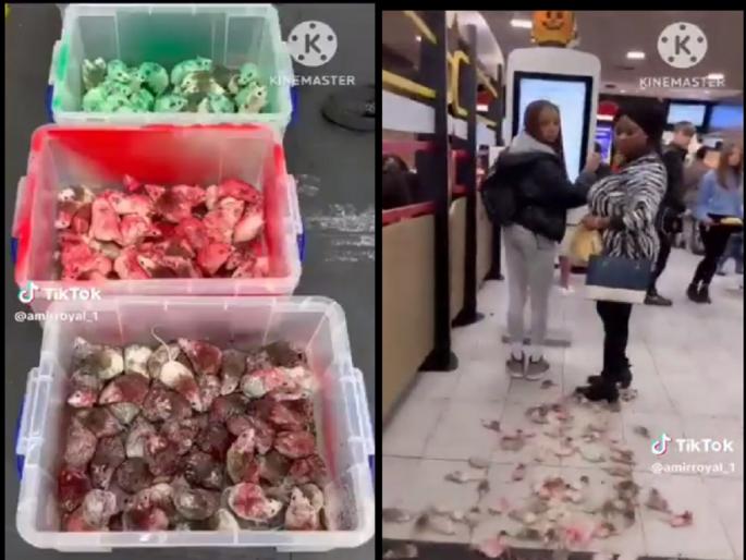 Rats Inside Mcdonalds: Hundreds of Rats Released in McDonalds in Support of Palestine; Watch the shocking video | पॅलेस्टाईनच्या समर्थनार्थ McDonalds मध्ये सोडले डझनभर उंदीर; पाहा धक्कादायक व्हिडिओ... Rats Inside Mcdonalds: Hundreds of Rats Released in McDonalds in Support of Palestine; Watch the shocking video | पॅलेस्टाईनच्या समर्थनार्थ McDonalds मध्ये सोडले डझनभर उंदीर; पाहा धक्कादायक व्हिडिओ...