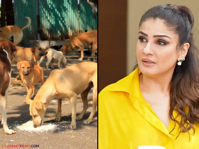 Raveena Tandon Reacts To Supreme Courts Verdict Of Relocating Stray Dogs To Shelters | "भटक्या कुत्र्यांचा बंदोबस्त करा", सुप्रीम कोर्टाच्या आदेशावर रवीना टंडनची प्रतिक्रिया Raveena Tandon Reacts To Supreme Courts Verdict Of Relocating Stray Dogs To Shelters | "भटक्या कुत्र्यांचा बंदोबस्त करा", सुप्रीम कोर्टाच्या आदेशावर रवीना टंडनची प्रतिक्रिया
