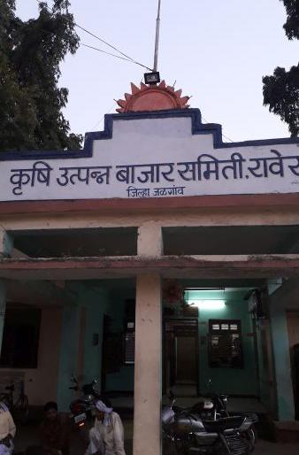 Raver Selects the Chairman of the Agricultural Produce Market Committee | रावेर कृषी उत्पन्न बाजार समितीची सभापती निवड प्रतिष्ठेची Raver Selects the Chairman of the Agricultural Produce Market Committee | रावेर कृषी उत्पन्न बाजार समितीची सभापती निवड प्रतिष्ठेची