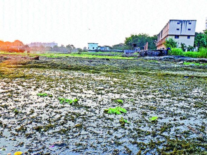 Swamps in Ravet Bond; Water from the trash | रावेत बंधाऱ्यात दलदल; कचऱ्यातून पाणीउपसा Swamps in Ravet Bond; Water from the trash | रावेत बंधाऱ्यात दलदल; कचऱ्यातून पाणीउपसा