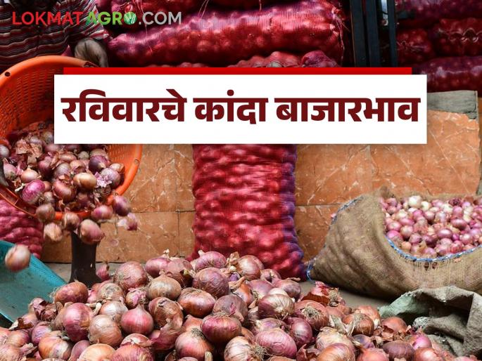 latest News kanda bajar bhav unhal , local, and Chinchwad onions prices in Pune market Read in detail | Kanda Bajar Bhav : पुणे बाजारात उन्हाळ, लोकल, चिंचवड कांद्याला काय भाव मिळतोय? वाचा सविस्तर 