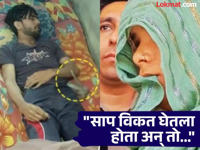 meerut amit murder case wife lover killed husband get snake to bite body spits truth | "मी अमितचा हात धरला, बॉयफ्रेंडने गळा दाबला..."; नवऱ्याचा काटा काढणाऱ्या बायकोची कबुली meerut amit murder case wife lover killed husband get snake to bite body spits truth | "मी अमितचा हात धरला, बॉयफ्रेंडने गळा दाबला..."; नवऱ्याचा काटा काढणाऱ्या बायकोची कबुली