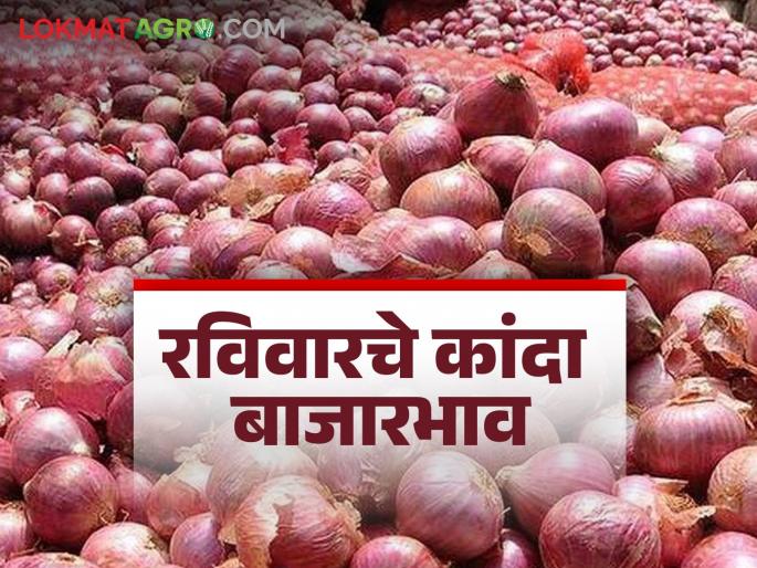 Latest News Kanda Market Update local kanda market in Pune and Ramtek market, know in detail | Kanda Market Update : पुण्यात लोकल, तर रामटेक बाजारात उन्हाळ कांद्याला काय भाव मिळाला, जाणून घ्या सविस्तर