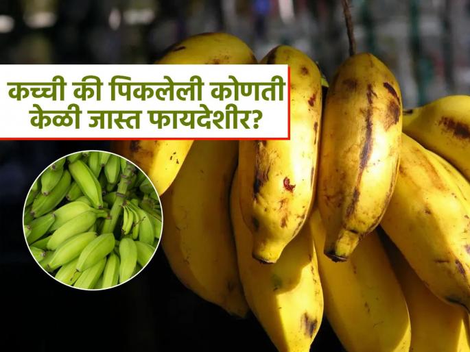 Ripe vs raw bananas which is better for weight loss | पिकलेली की कच्ची, कोणती केळी वजन कमी करण्यास करतात मदत? पाहा दोन्हींमध्ये काय आहे फरक