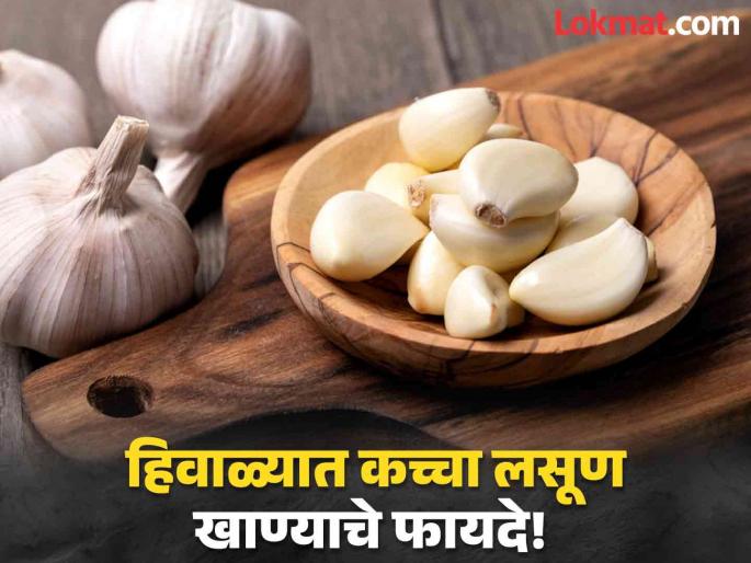 Raw garlic health benefits in winter | हिवाळ्यात कच्चा लसूण खाऊन दूर होतात 'या' समस्या, जाणून घ्या कसं कराल सेवन! Raw garlic health benefits in winter | हिवाळ्यात कच्चा लसूण खाऊन दूर होतात 'या' समस्या, जाणून घ्या कसं कराल सेवन!