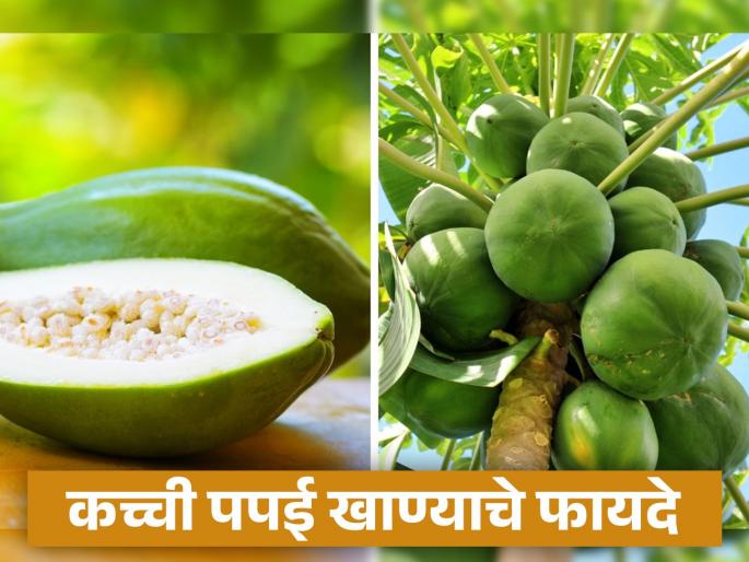Amazing health benefits of eating raw papaya | पिकलेली पपई तर तुम्ही अनेकदा खाल्ली असेल आता कच्च्या पपईचे फायदे जाणून घ्या!