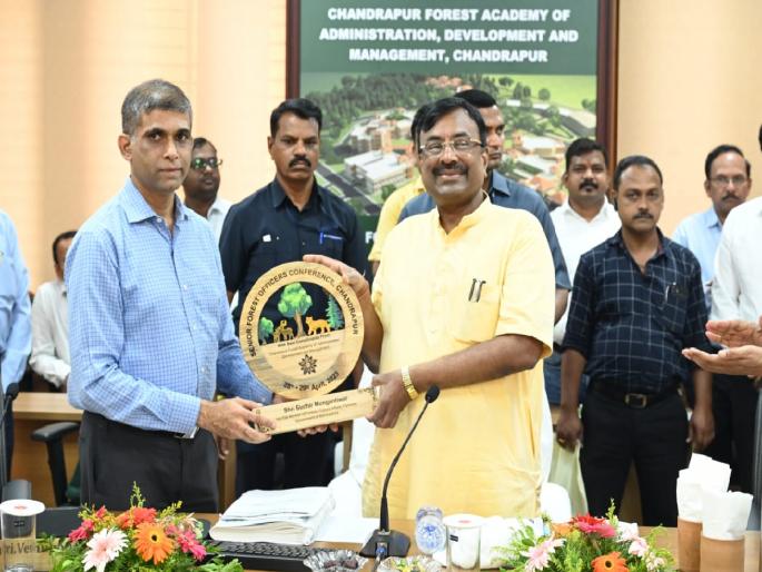 Forest Department strives to be foremost in the country says Forest Minister Sudhir Mungantiwar | वन विभाग देशात सर्वात अग्रेसर राहण्यासाठी प्रयत्न करा - वनमंत्री सुधीर मुनगंटीवार Forest Department strives to be foremost in the country says Forest Minister Sudhir Mungantiwar | वन विभाग देशात सर्वात अग्रेसर राहण्यासाठी प्रयत्न करा - वनमंत्री सुधीर मुनगंटीवार