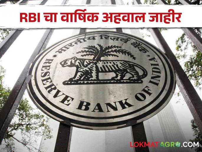 Reserve Bank's annual report released, how will the economy grow? | RBI Annual Report रिझर्व्ह बँकेचा वार्षिक अहवाल जारी, कसा राहील अर्थव्यवस्था वाढीचा दर?