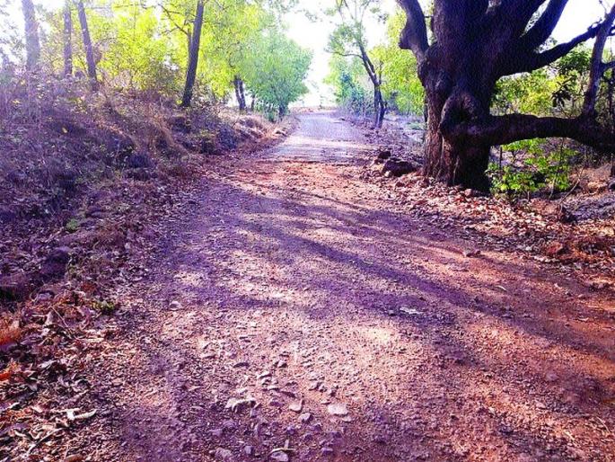 Road blocks of Mhasla, Shrivardhan | म्हसळा, श्रीवर्धनमध्ये रस्त्यांची चाळण Road blocks of Mhasla, Shrivardhan | म्हसळा, श्रीवर्धनमध्ये रस्त्यांची चाळण