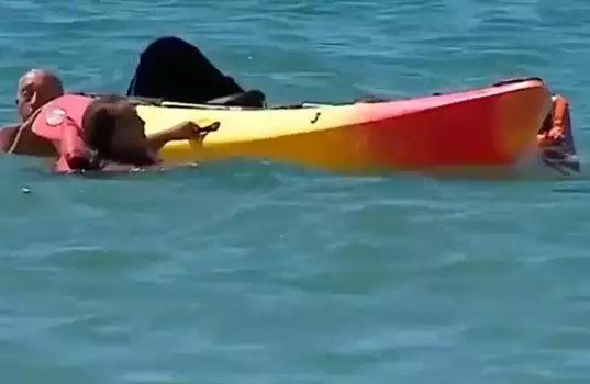 Marcelo Rebelo De Sousa The President showed courage and saved 2 girls who drowned in the sea in portugaal | Video: चक्क राष्ट्रपतींनीच घेतली उडी, समुद्रात बुडणाऱ्या 2 मुलींना स्वत: वाचवलं