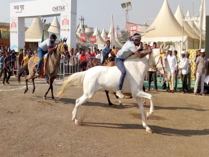 Chetak Festival: 'Benazir' hit the racing championship | चेतक फेस्टीवल : रेसिंग स्पर्धेत ‘बेनजीर’ने मारली बाजी Chetak Festival: 'Benazir' hit the racing championship | चेतक फेस्टीवल : रेसिंग स्पर्धेत ‘बेनजीर’ने मारली बाजी