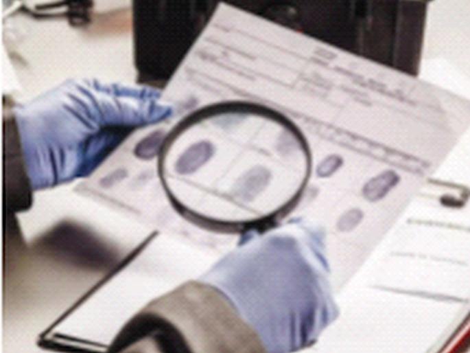 Why not recruit in forensic lab? Bombay High Court Inquiry; Thousands of lawsuits are pending  | फॉरेन्सिक लॅबमध्ये भरती का नाही? मुंबई उच्च न्यायालयाची विचारणा; हजारो खटले प्रलंबित  Why not recruit in forensic lab? Bombay High Court Inquiry; Thousands of lawsuits are pending  | फॉरेन्सिक लॅबमध्ये भरती का नाही? मुंबई उच्च न्यायालयाची विचारणा; हजारो खटले प्रलंबित