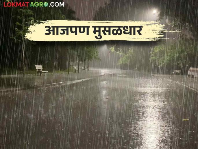 Maharashtra Weather Update: Red alert in these districts in the state today | Maharashtra Weather Update: राज्यात आज या जिल्ह्यांत रेड अलर्ट Maharashtra Weather Update: Red alert in these districts in the state today | Maharashtra Weather Update: राज्यात आज या जिल्ह्यांत रेड अलर्ट