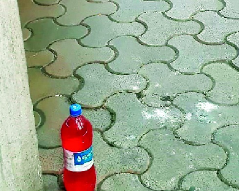 Red water bottles in the house and premises to run the dogs | कुत्र्यांना पळविण्यासाठी घर व परिसरात लाल पाण्याच्या बाटल्या Red water bottles in the house and premises to run the dogs | कुत्र्यांना पळविण्यासाठी घर व परिसरात लाल पाण्याच्या बाटल्या