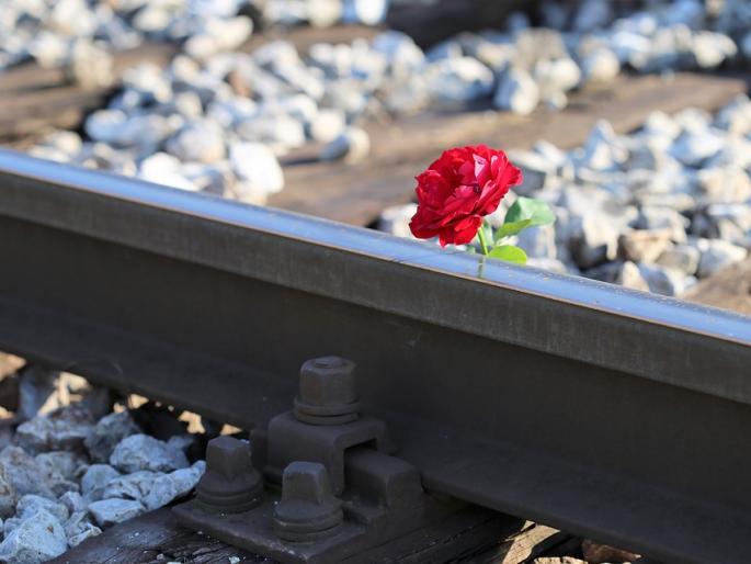 Valentine's Day: Gulabacha's biggest export rose to Delhi, silver rose by Rs | Valentine Day : मिरजेतून रेल्वेने दिल्लीला गुलाबाची मोठी निर्यात, डच गुलाबाचा दर वधारला Valentine's Day: Gulabacha's biggest export rose to Delhi, silver rose by Rs | Valentine Day : मिरजेतून रेल्वेने दिल्लीला गुलाबाची मोठी निर्यात, डच गुलाबाचा दर वधारला