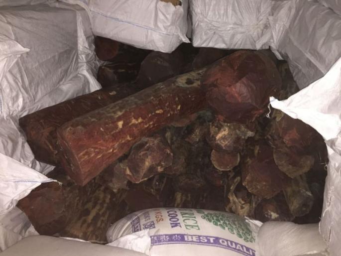 DRI bursted 4 crores 52 lakhs of red sandalwood smuggling plan | डीआरआयने उधळला ४ कोटी ५२ लाखांच्या रक्त चंदनाच्या तस्करी डाव  DRI bursted 4 crores 52 lakhs of red sandalwood smuggling plan | डीआरआयने उधळला ४ कोटी ५२ लाखांच्या रक्त चंदनाच्या तस्करी डाव