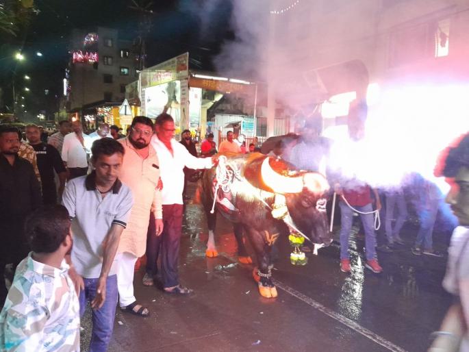 Even in the procession of redis, the alarm of 'Nashik District Act' is raised | रेड्यांच्या मिरवणुकीतही 'नाशिक जिल्हा कायद्याचा बालेकिल्लाचा' गजर Even in the procession of redis, the alarm of 'Nashik District Act' is raised | रेड्यांच्या मिरवणुकीतही 'नाशिक जिल्हा कायद्याचा बालेकिल्लाचा' गजर