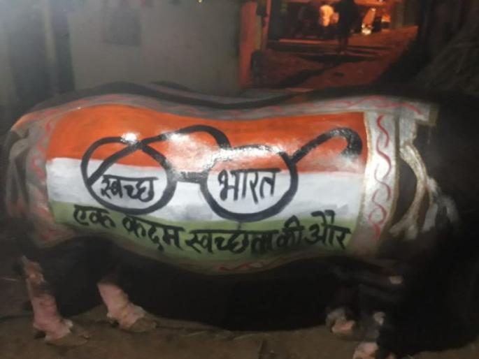 Media procession of Panchavati on the occasion of Balipratipad, procession of cleanliness and cleanliness | बलिप्रतिपदेच्या निमित्ताने पंचवटीत रेड्यांची मिरवणूक, स्वच्छतेचा दिला संदेश Media procession of Panchavati on the occasion of Balipratipad, procession of cleanliness and cleanliness | बलिप्रतिपदेच्या निमित्ताने पंचवटीत रेड्यांची मिरवणूक, स्वच्छतेचा दिला संदेश