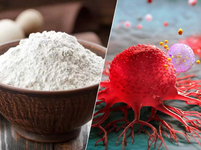 Is maida harmful for health Why refined flour is bad for your body Diseases caused by eating maida regularly | खमंग स्वस्त म्हणून आवडीने खाता पण हा पदार्थ ठरतोय आपल्या तब्येतीसाठी विष! होतात ५ गंभीर आजार Is maida harmful for health Why refined flour is bad for your body Diseases caused by eating maida regularly | खमंग स्वस्त म्हणून आवडीने खाता पण हा पदार्थ ठरतोय आपल्या तब्येतीसाठी विष! होतात ५ गंभीर आजार