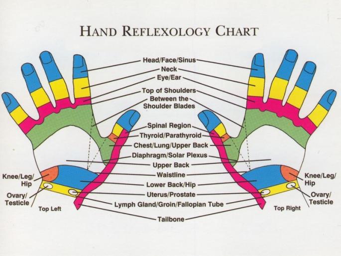 Online seminar on International Reflexology Week | आंतरराष्ट्रीय रिफ्लेक्सोलॉजी सप्ताहानिमित्त ऑनलाइन चर्चासत्र Online seminar on International Reflexology Week | आंतरराष्ट्रीय रिफ्लेक्सोलॉजी सप्ताहानिमित्त ऑनलाइन चर्चासत्र
