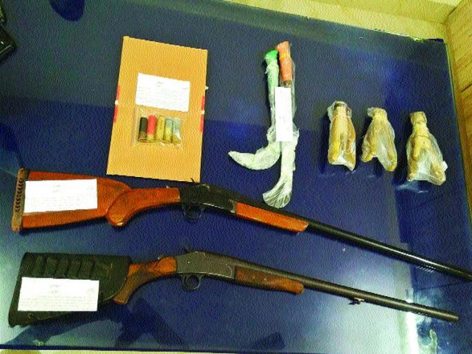 12 armed hunters arrested in Phanaskond forest | फणसकोंड जंगलात १२ सशस्त्र शिकाऱ्यांना अटक 12 armed hunters arrested in Phanaskond forest | फणसकोंड जंगलात १२ सशस्त्र शिकाऱ्यांना अटक