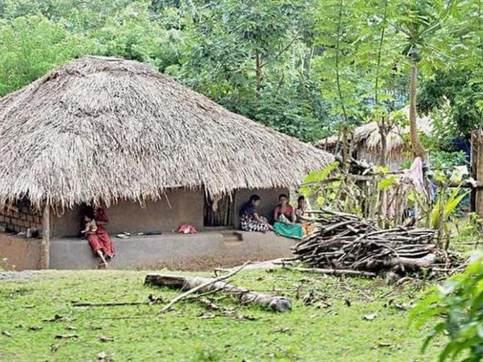 Melghat Rehabilitated tribals' lives in danger! | पुनर्वसित आदिवासींचे जीवन धोक्यातच! Melghat Rehabilitated tribals' lives in danger! | पुनर्वसित आदिवासींचे जीवन धोक्यातच!