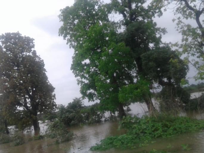 Eight monkeys stuck to the trees in the dam; Rescue operation by youth | धरणातील झाडांवर अडकली आठ माकडे; युवकांनी राबविले ‘रेस्क्यू आॅपरेशन’ Eight monkeys stuck to the trees in the dam; Rescue operation by youth | धरणातील झाडांवर अडकली आठ माकडे; युवकांनी राबविले ‘रेस्क्यू आॅपरेशन’