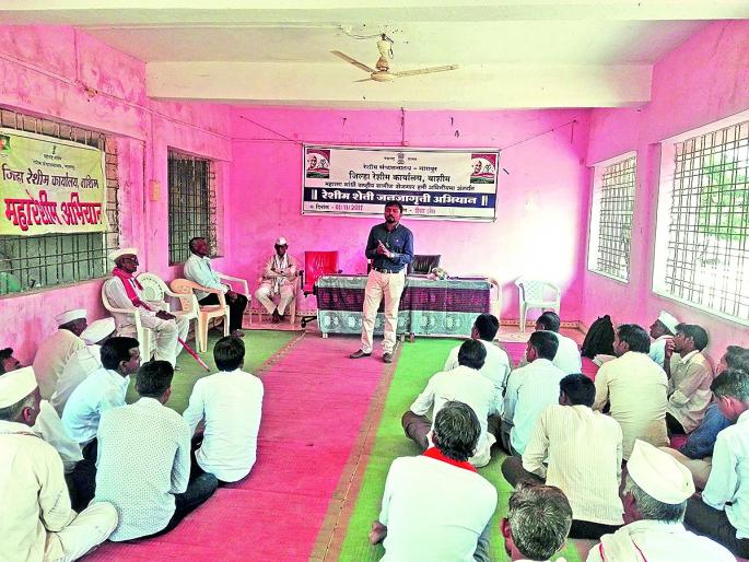 Growth for Silk Farming | रेशीम शेती ठरेल शेतकर्यांसाठी वरदान! Growth for Silk Farming | रेशीम शेती ठरेल शेतकर्यांसाठी वरदान!