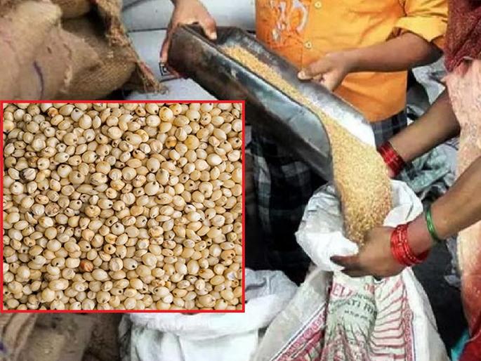 Along with wheat sorghum will also be available on ration from the government | आता मनसोक्त खा भाकरी, रेशनवर मिळणार ज्वारी; 'या' बारा जिल्ह्यांना धान्य उचल करण्याचे आदेश Along with wheat sorghum will also be available on ration from the government | आता मनसोक्त खा भाकरी, रेशनवर मिळणार ज्वारी; 'या' बारा जिल्ह्यांना धान्य उचल करण्याचे आदेश