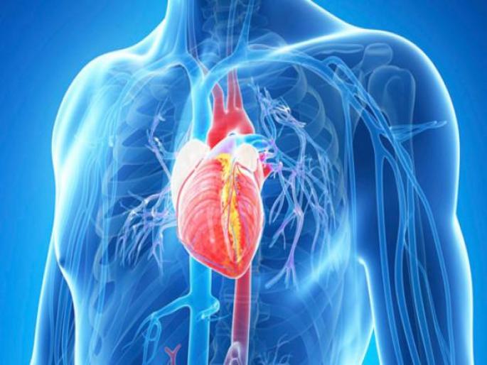Causes and symptoms of heart blockage api | हार्ट ब्लॉकेजची लक्षणे आणि कारणे, जाणून घ्या काही नैसर्गिक उपाय.. Causes and symptoms of heart blockage api | हार्ट ब्लॉकेजची लक्षणे आणि कारणे, जाणून घ्या काही नैसर्गिक उपाय..