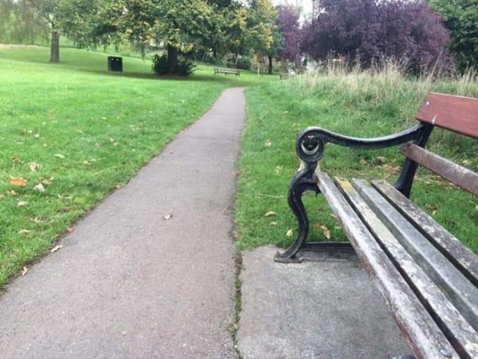 Optical Illusion : Can you find doggy hidden in this photo | 'या' फोटोत लपून बसलाय एक कुत्रा, तीक्ष्ण डोळे असणारेच शोधू शकतील! Optical Illusion : Can you find doggy hidden in this photo | 'या' फोटोत लपून बसलाय एक कुत्रा, तीक्ष्ण डोळे असणारेच शोधू शकतील!