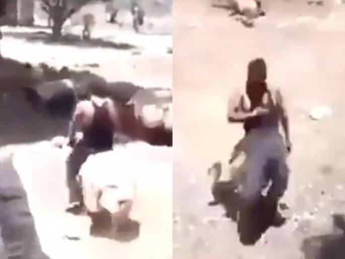 Watch video when sheep take revenge to man people are saying this is karma | Video! दे धक्का! शेळीवर बसून देत होता त्रास, नंतर शेळीने जे केलं ते तो आता आयुष्यभर विसरू शकणार नाही! Watch video when sheep take revenge to man people are saying this is karma | Video! दे धक्का! शेळीवर बसून देत होता त्रास, नंतर शेळीने जे केलं ते तो आता आयुष्यभर विसरू शकणार नाही!