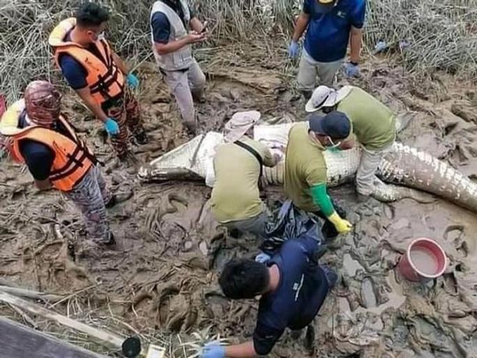 Reenager remains found inside 16 feet giant crocodile stomach after eaten alive | हृदयद्रावक! मुलाला रात्री नदीवर जाणं पडलं महागात, सहाव्या दिवशी सापडला मगरीच्या पोटात! Reenager remains found inside 16 feet giant crocodile stomach after eaten alive | हृदयद्रावक! मुलाला रात्री नदीवर जाणं पडलं महागात, सहाव्या दिवशी सापडला मगरीच्या पोटात!