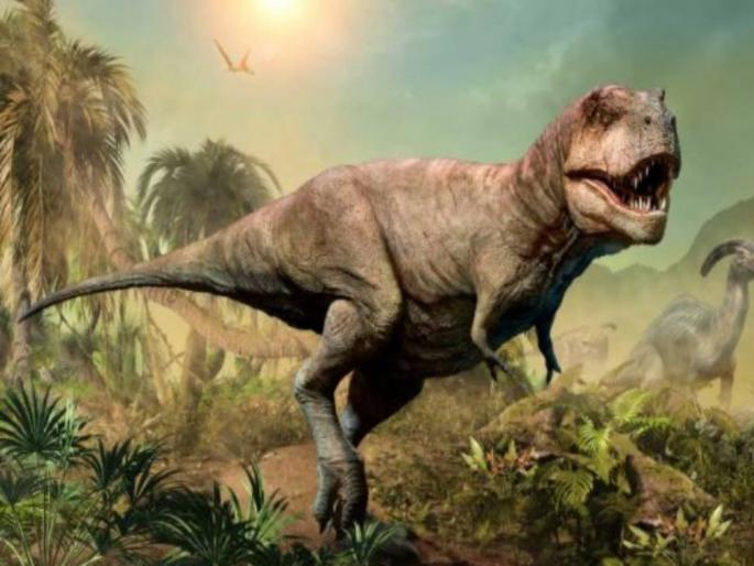 Dinosaur reached on moon before humans know how it happened | काय सांगता! मनुष्यांआधी चंद्रावर डायनासॉर पोहोचले होते, जाणून घ्या हे नेमकं झालं कसं... Dinosaur reached on moon before humans know how it happened | काय सांगता! मनुष्यांआधी चंद्रावर डायनासॉर पोहोचले होते, जाणून घ्या हे नेमकं झालं कसं...